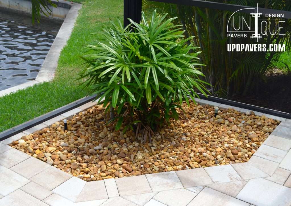 Lush plant centerpiece surrounded by decorative rocks in a landscaped patio area.