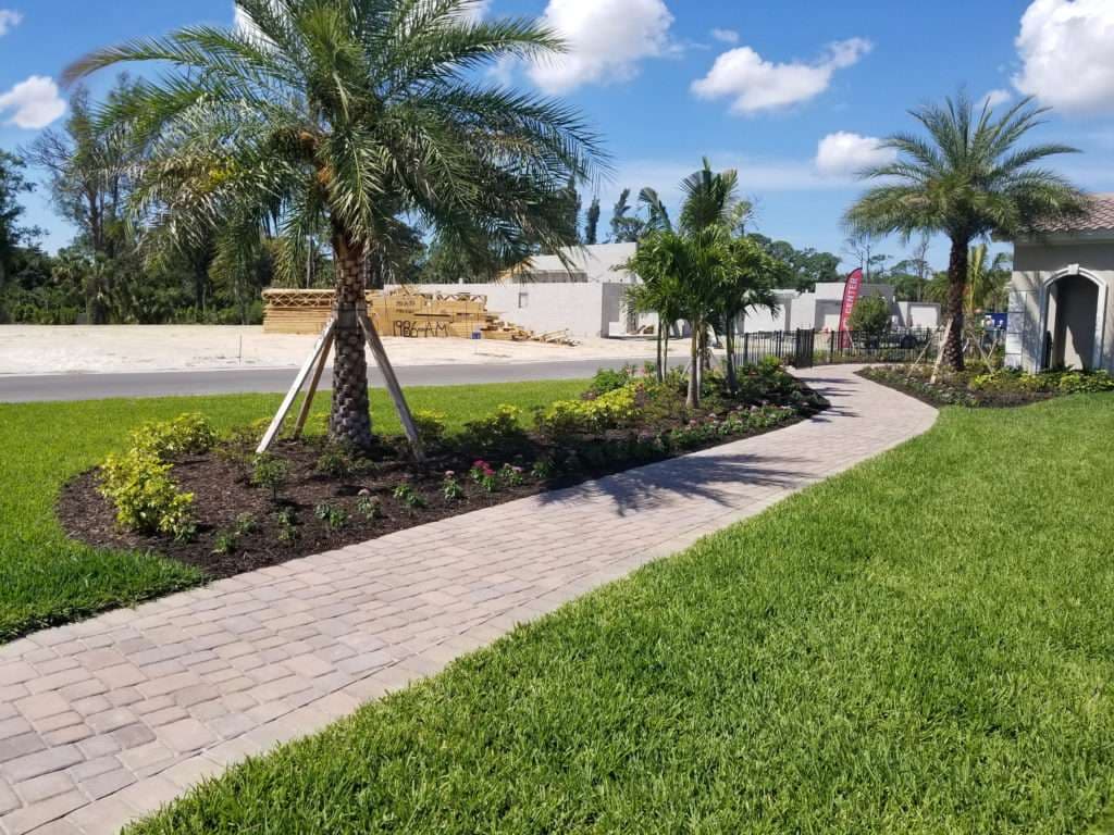 Pathway lined with palm trees and colorful flowers leading to a construction site.