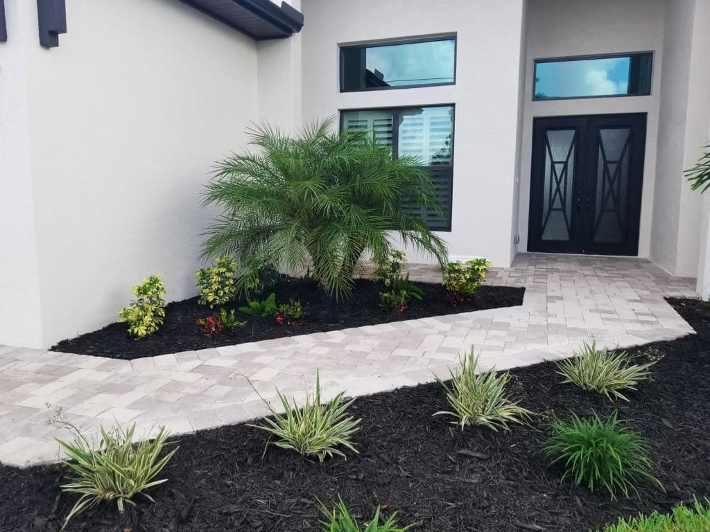 Lush front yard landscaping with palm tree, colorful plants, and paver walkway by modern home.
