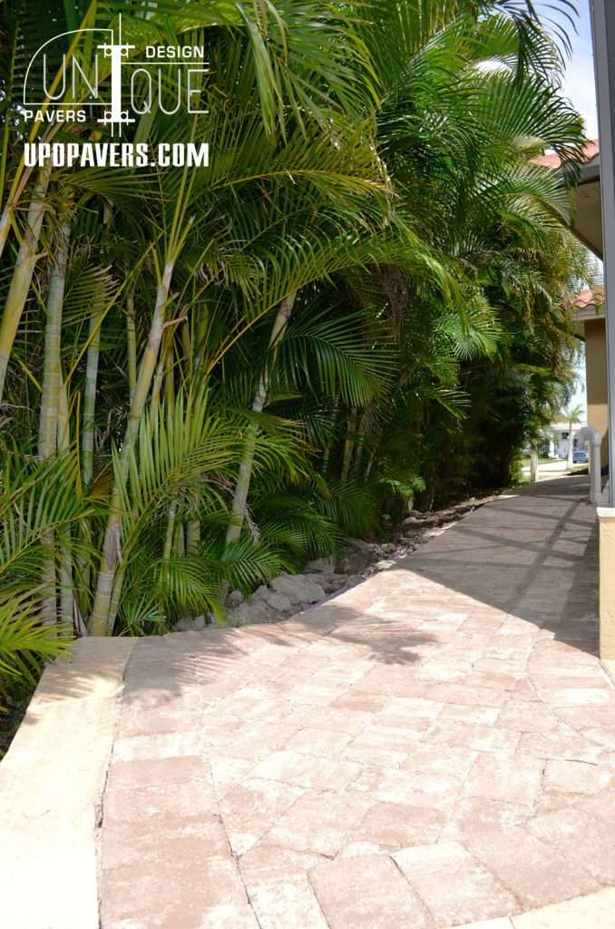 Elegant paver pathway surrounded by lush palm trees in a tropical setting.