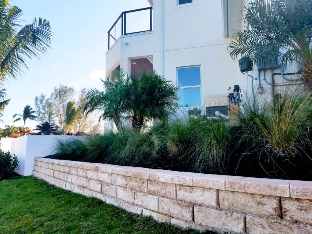 Residential landscape with palm trees and stone wall, featuring a modern house backdrop.