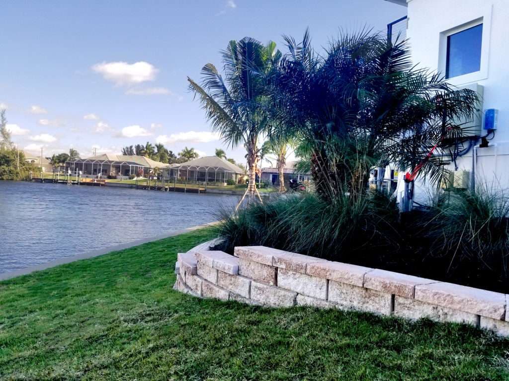 Lush waterfront landscaping with palm trees and a scenic view of houses by the lake.