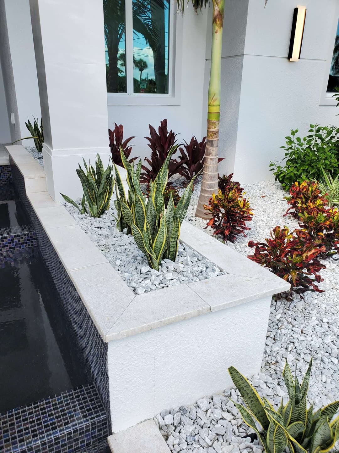 Modern landscaping with snake plants, colorful foliage, and a decorative stone border.