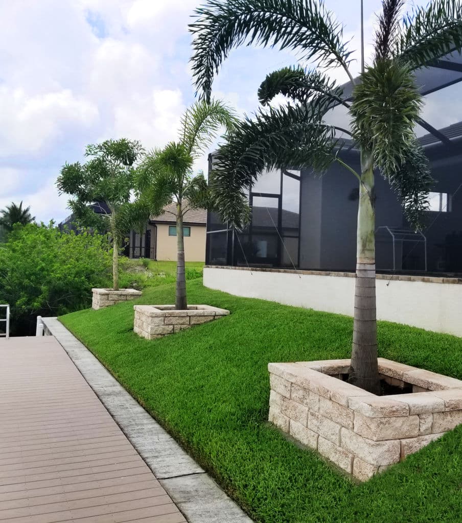 Tropical landscape with palm trees and lush green grass near a modern house.