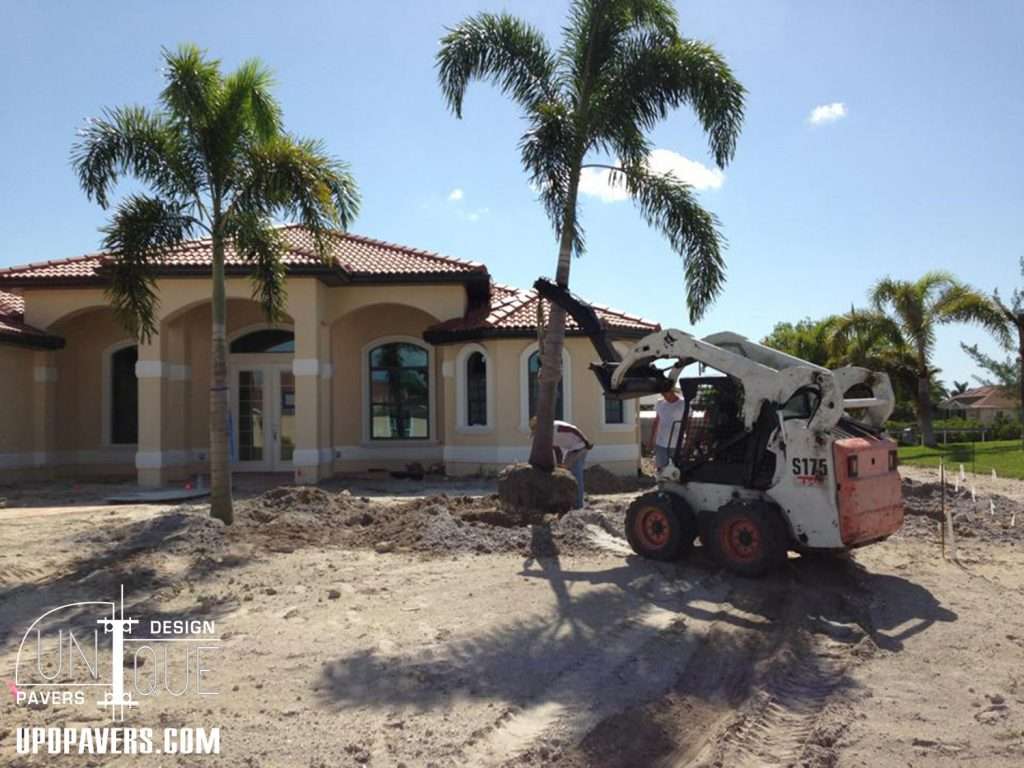 Construction site with a bobcat loader working near a house and palm trees.
