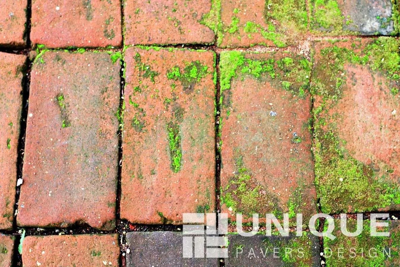 Blog post Identifying Different Stains on Your Pavers image