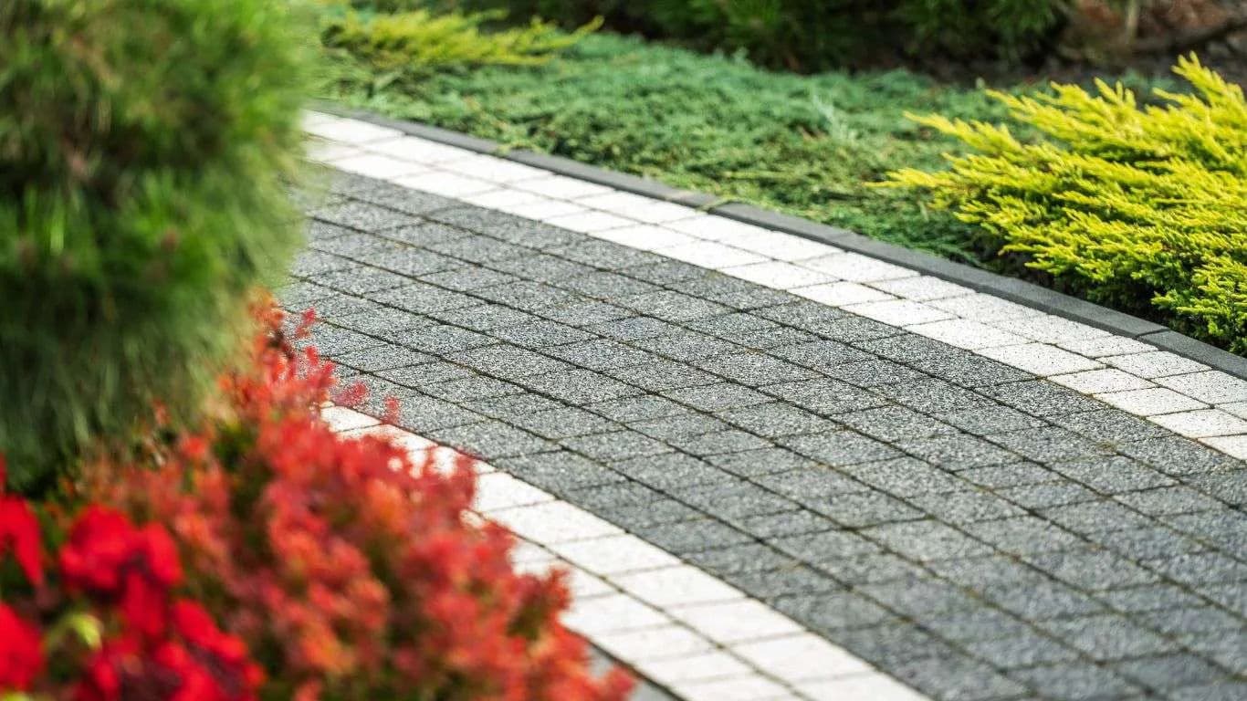 Blog post The Role of Professional Services in Seamless Paver Installations image